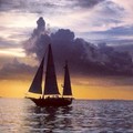 Create Listing: Starlight Sail