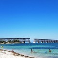 Create Listing: Road Trip: 7 Mile Bridge, Beach & Key Deer