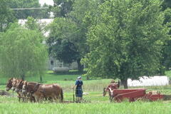 Create Listing: Lancaster and Amish Tour