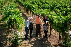 Create Listing: Napa and Sonoma Valley Wine Country Discovery Tour 1 day fro