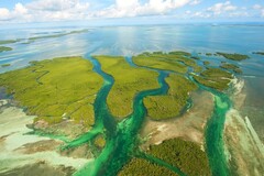 Create Listing: The Ultimate Island Experience
