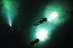 Create Listing: Nite Snorkeling and Boat Experience