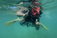 Create Listing: Snorkeling Lessons & Interactive Experience for kids and adu